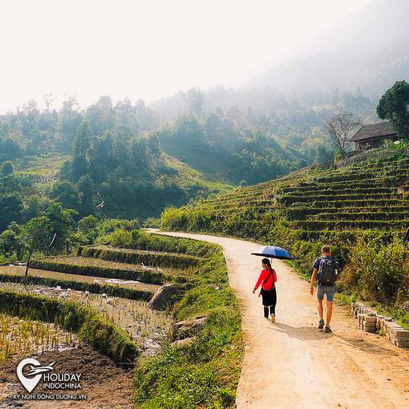 combo du lịch sapa