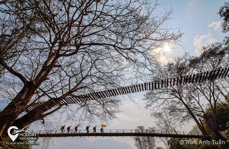 tour sapa gi&aacute; rẻ