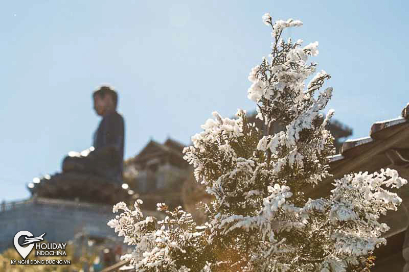 tour sapa gi&aacute; rẻ