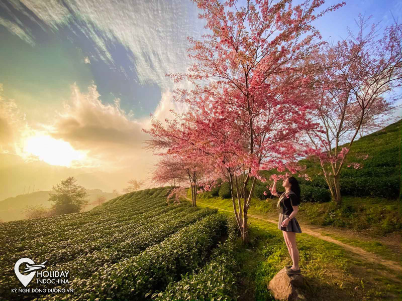 tour sapa h&agrave; giang