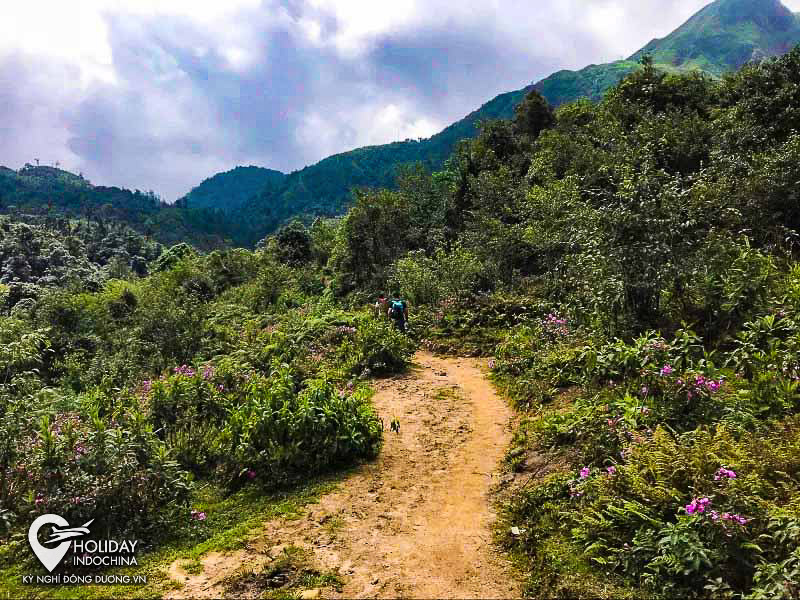 tour sapa gi&aacute; rẻ