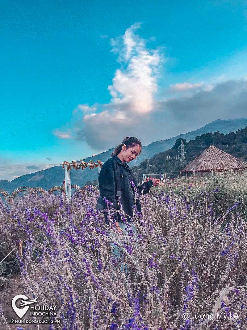 tour sapa gi&aacute; rẻ