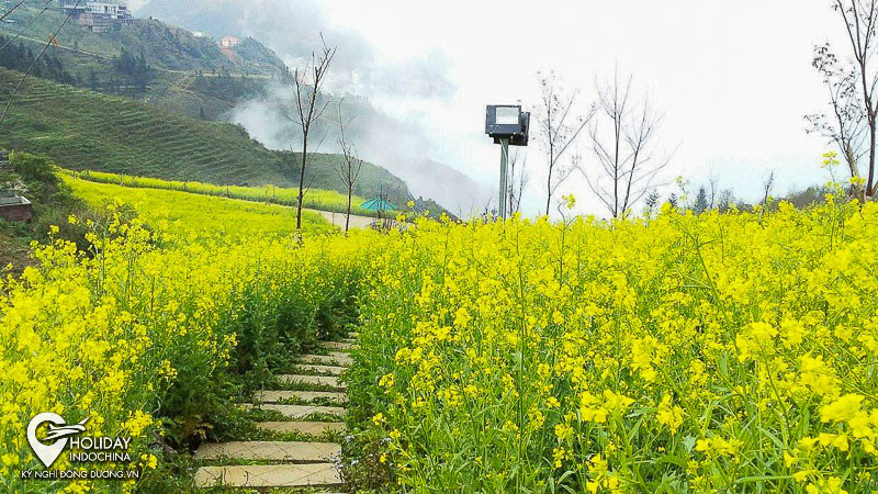 tour sapa từ h&agrave; nội