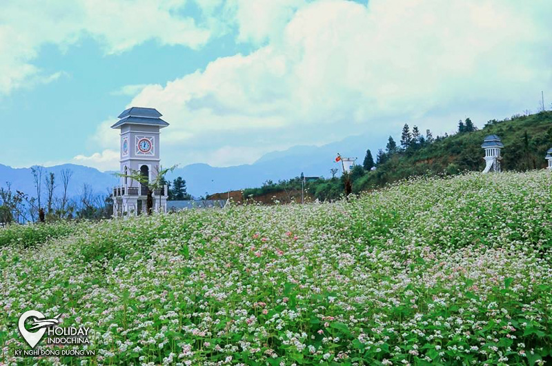 tour sapa 2 ng&agrave;y 1 đ&ecirc;m