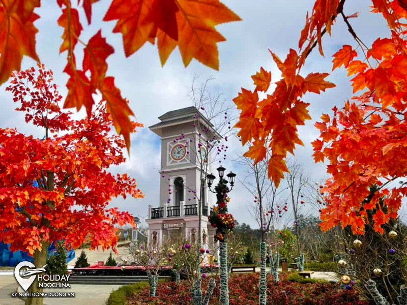 tour sapa gi&aacute; rẻ