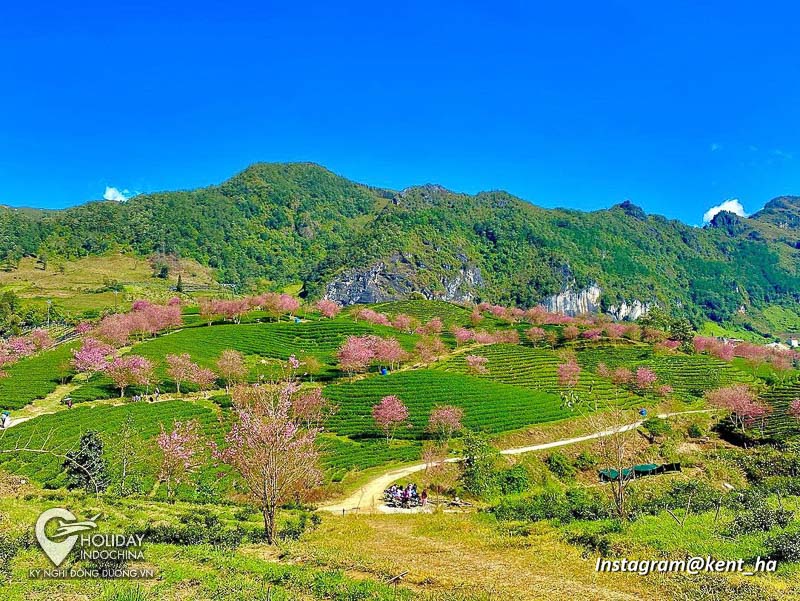 tour sapa 3 ngày 2 đêm