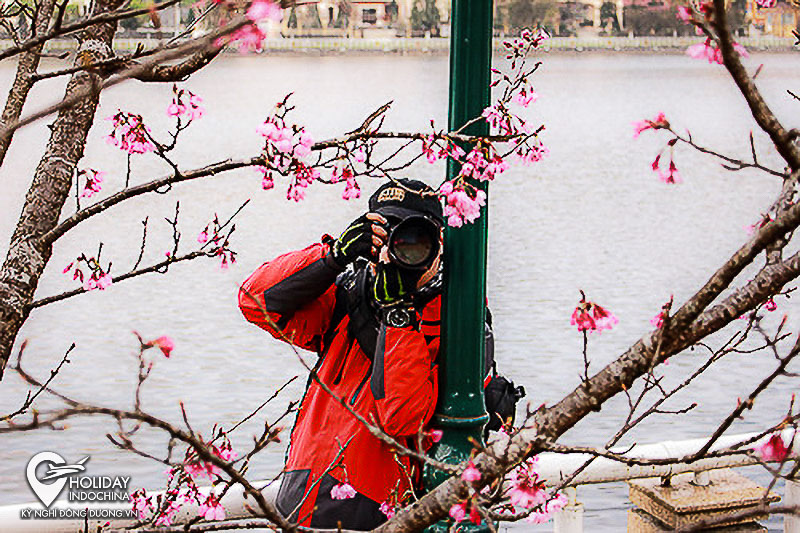 tour h&agrave; nội sapa