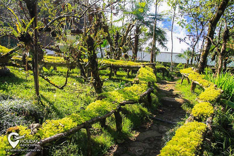 tour sapa h&agrave; giang