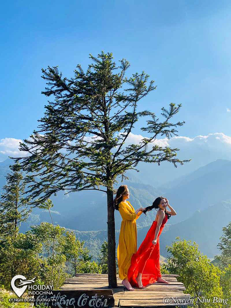 tour h&agrave; nội sapa 