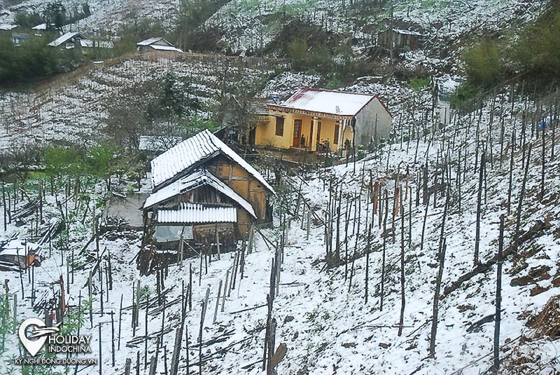 tour sapa giá rẻ