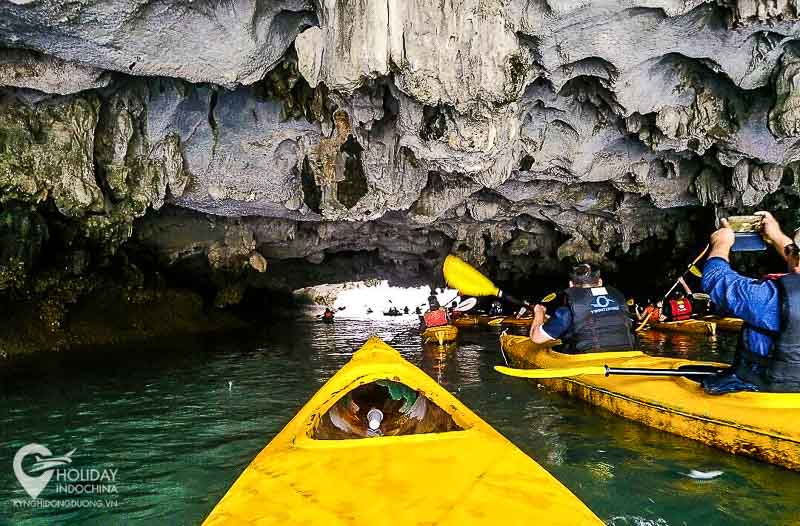 tour du lịch cát bà