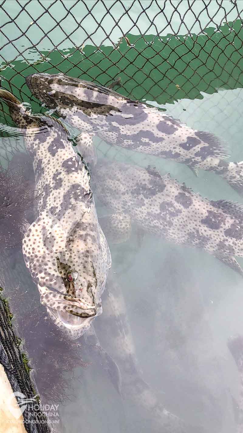 tour c&aacute;t b&agrave; 3 ng&agrave;y 2 đ&ecirc;m