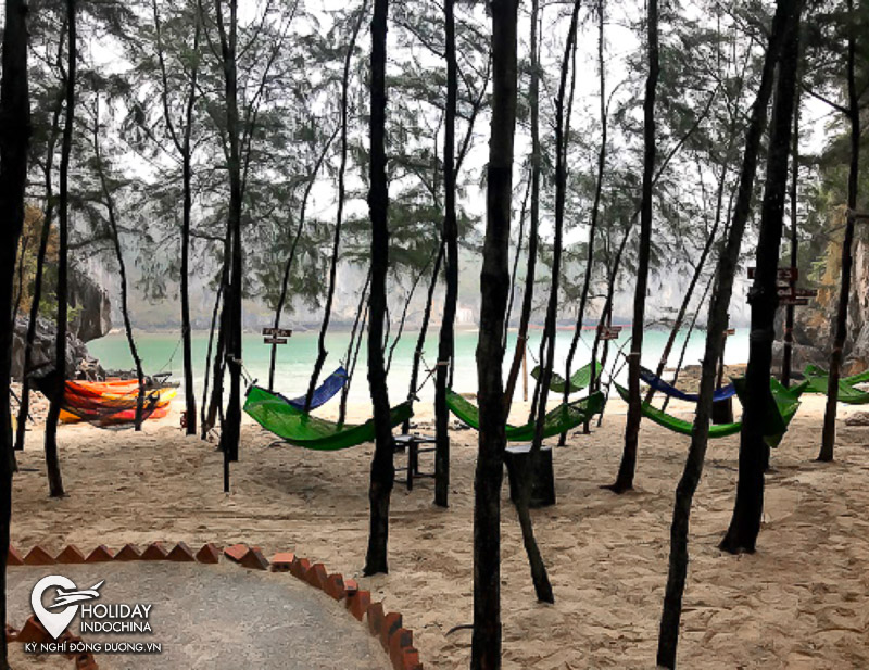 tour c&aacute;t b&agrave; 2 ng&agrave;y 1 đ&ecirc;m