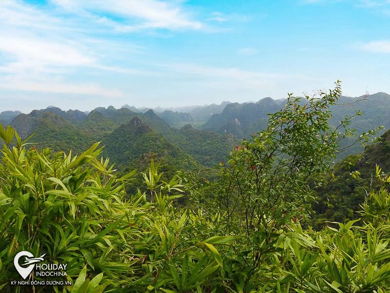 tour c&aacute;t b&agrave;