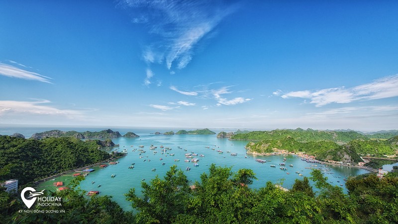 du thuyền c&aacute;t b&agrave;