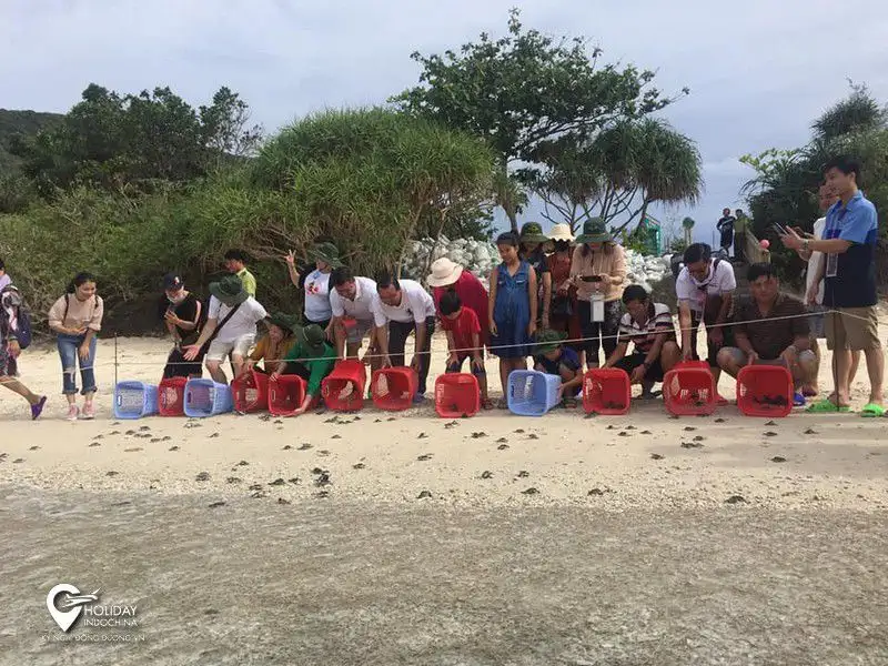 tour côn đảo giá rẻ