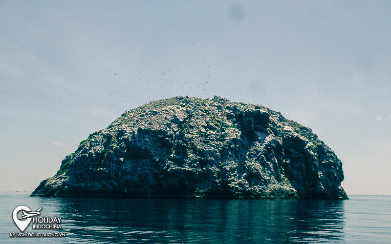 tour c&ocirc;n đảo từ h&agrave; nội