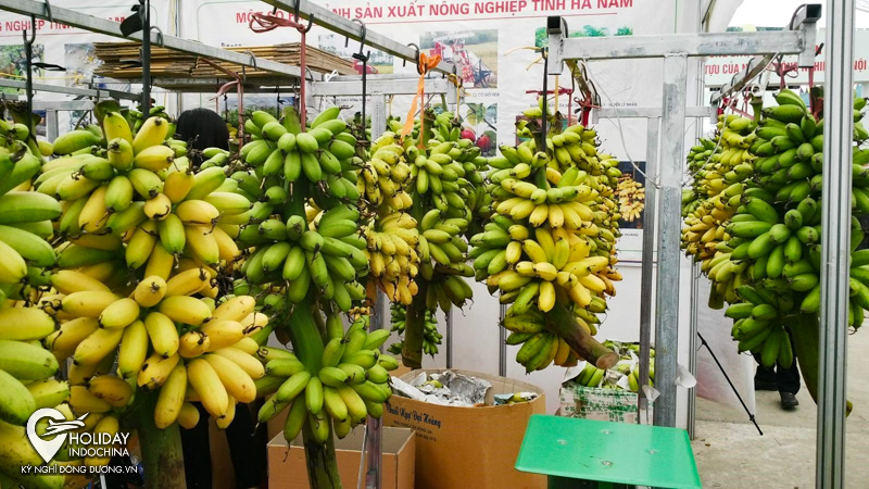 du lịch ch&ugrave;a tam ch&uacute;c
