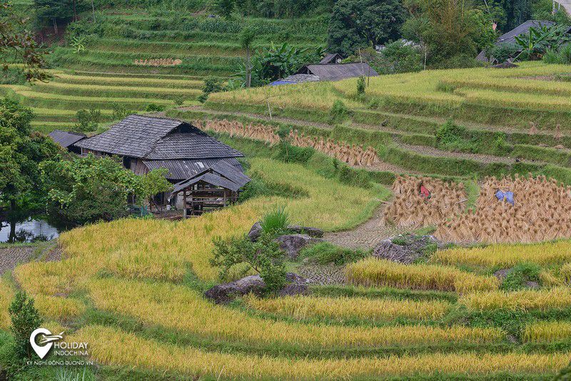 tua hoàng su phì