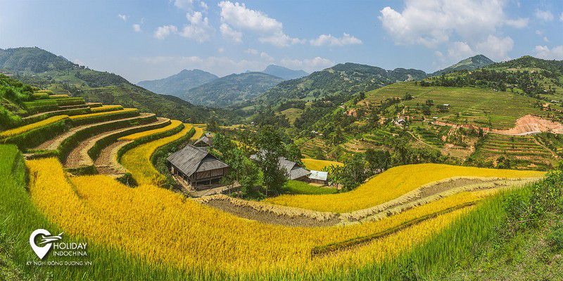 tour hoàng su phì