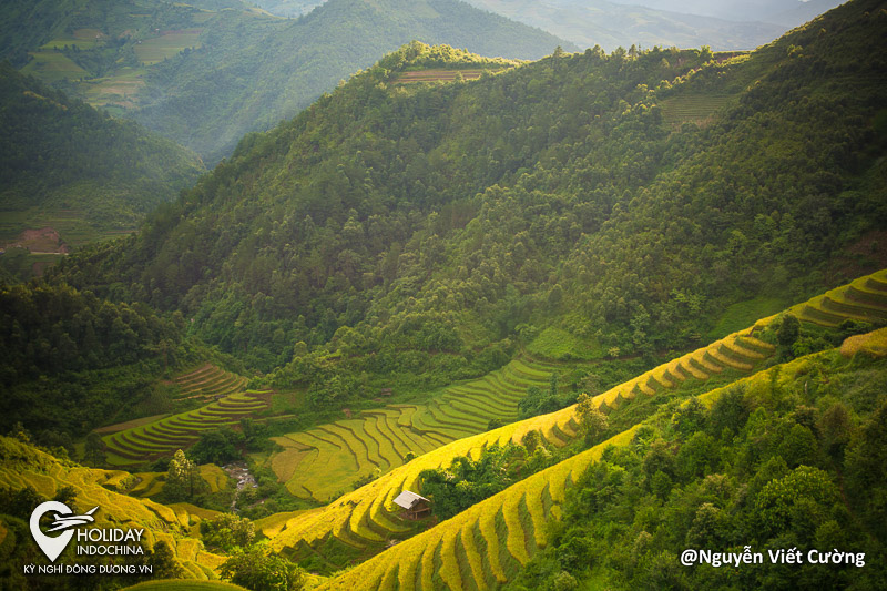 tour du lịch m&ugrave; cang chải