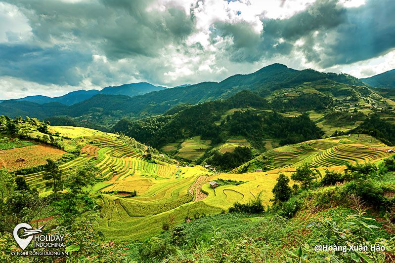 tour m&ugrave; cang chải y&ecirc;n b&aacute;i