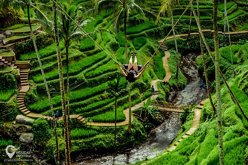 Bali Swing Trải nghiệm Bali cực ‘chất’ bạn đã thử chưa?
