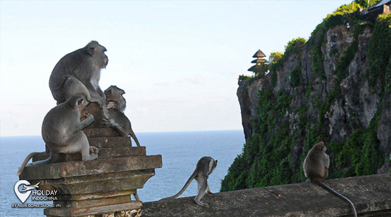 tour bali gi&aacute; rẻ