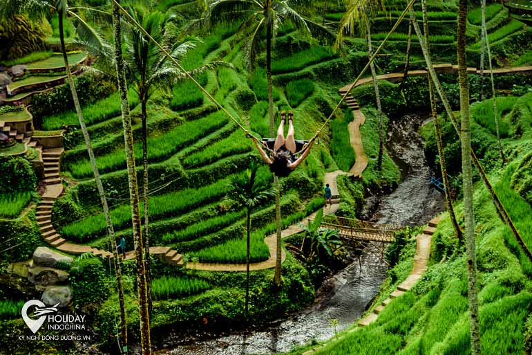 tour bali từ h&agrave; nội