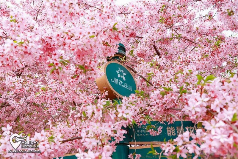 du lịch cửu trại c&acirc;u