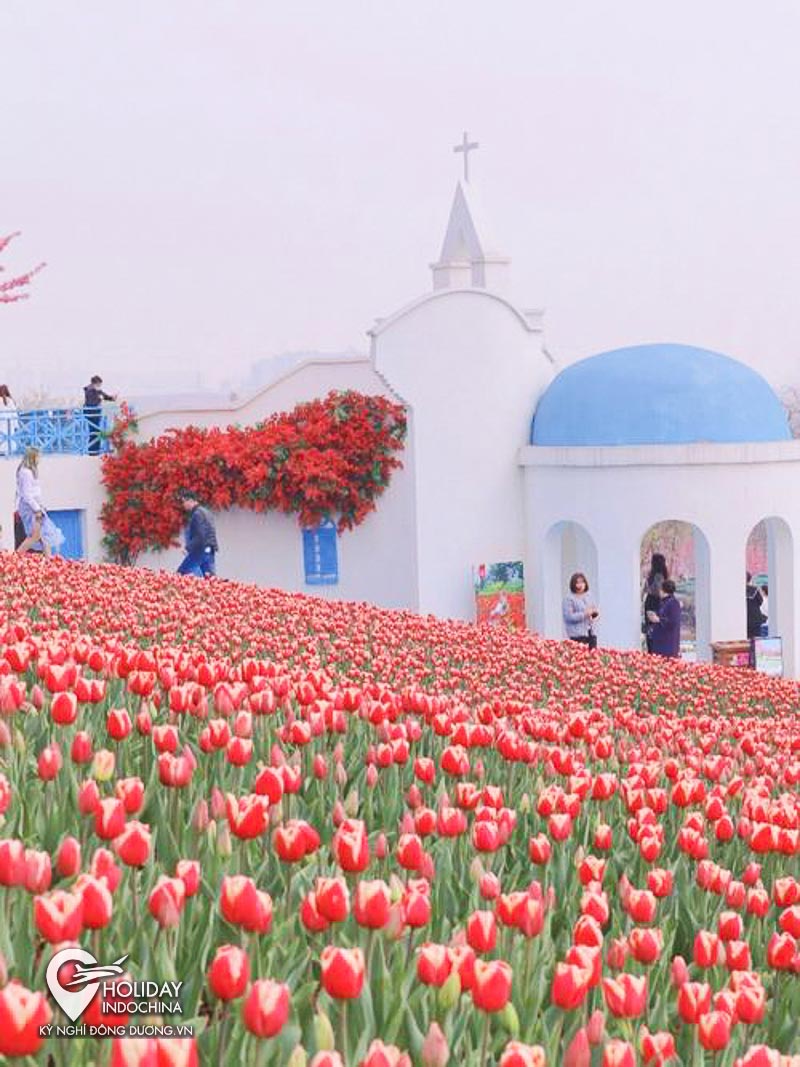 tour du lịch cửu trại c&acirc;u
