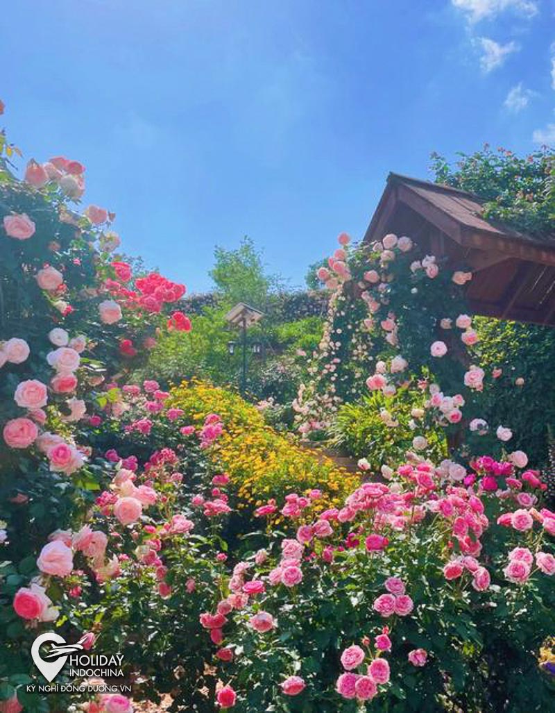 tour du lịch cửu trại c&acirc;u gi&aacute; rẻ