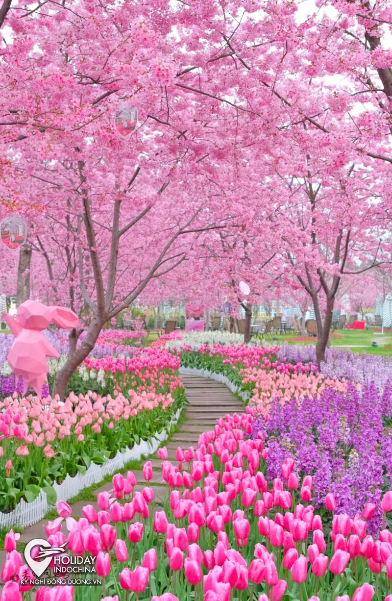 tour đi cửu trại c&acirc;u