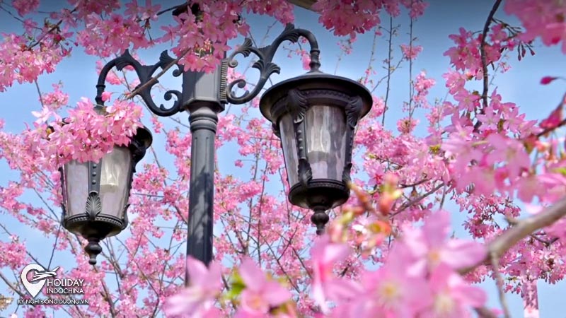 du lịch cửu trại c&acirc;u