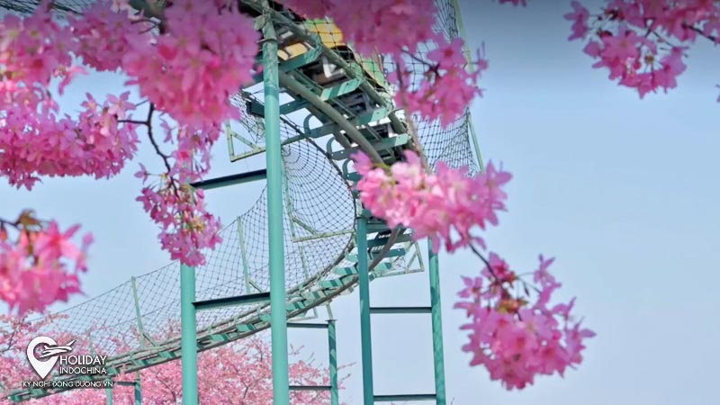 cửu trại c&acirc;u