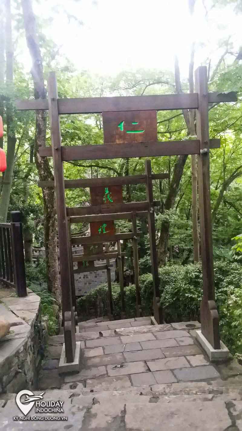 tour phượng ho&agrave;ng cổ trấn gi&aacute; rẻ