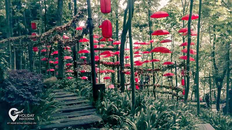 Tour phượng ho&agrave;ng cổ trấn m&aacute;y bay