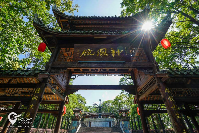 tour phượng ho&agrave;ng cổ trấn gi&aacute; rẻ