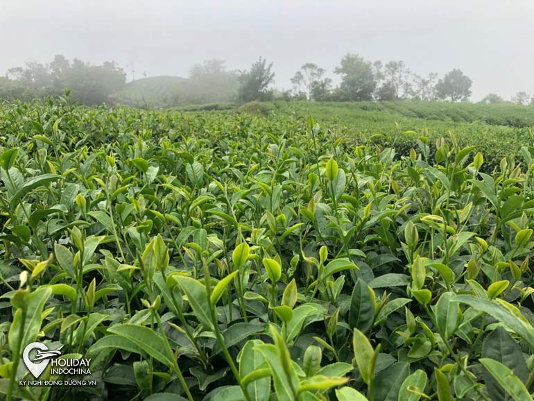 tour th&aacute;c bản giốc