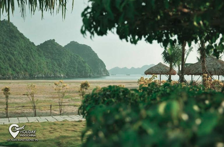 tour cát bà 2 ngày 1 đêm