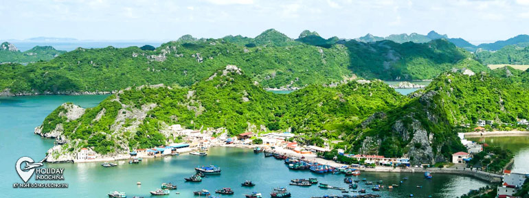 tour du lịch cát bà