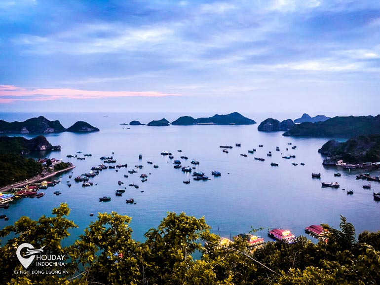 tour du lịch cát bà