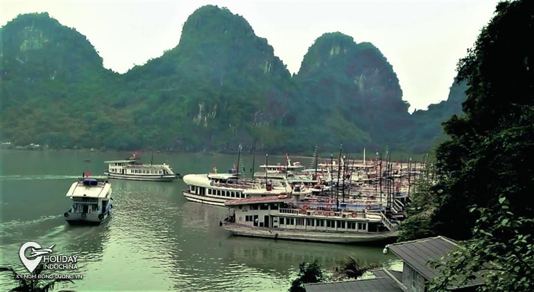tour du lịch hạ long 