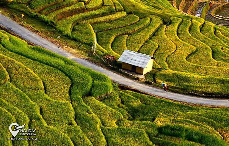 tour sapa từ h&agrave; nội