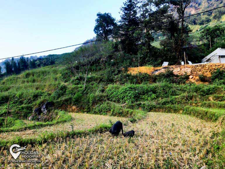 du lịch sapa