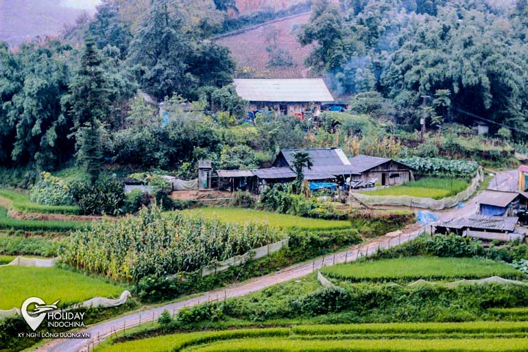 combo du lịch sapa gi&aacute; rẻ