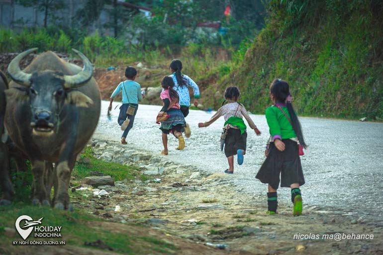 tour sapa 2 ng&agrave;y 1 đ&ecirc;m