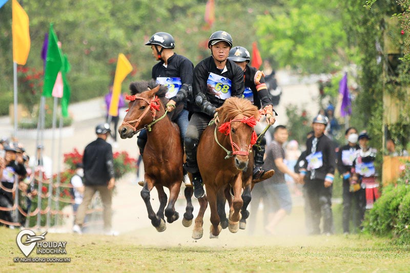 tour du lịch sapa