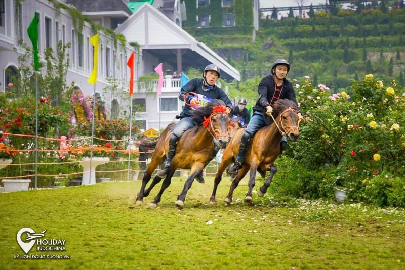 tour sapa