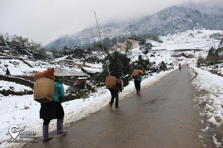 tour sapa gi&aacute; rẻ
